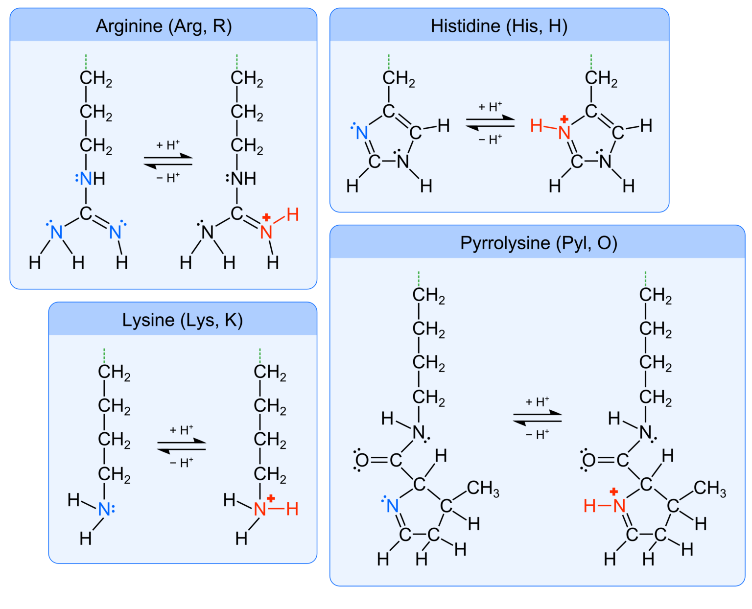 4.3 Polyprotic Acids and Bases – Principles of Chemistry